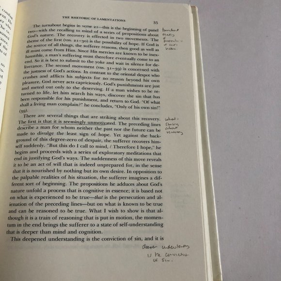 Hurban: Responses to Catastrophe in Hebrew Literature Hardcover by Alan Mintz - Picture 12 of 16